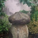 옥룡면사무소 이미지