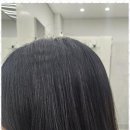 꽃미용실 이미지