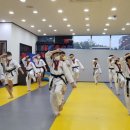 하나린태권도 이미지