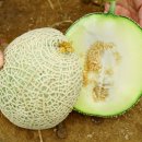 진호축산 이미지