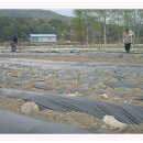 최영자농장 이미지