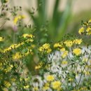 괴산설악추어탕 이미지