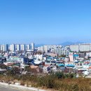 비앤비골프클럽 티스토리