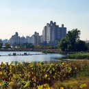 만석공원 이미지