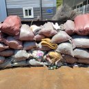 현대기아로 이미지