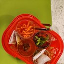 하남 감일 실내동물원 곰꼬마 방문후기