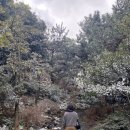 다큐포레 이미지