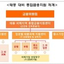 태풍중기 이미지