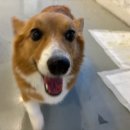 멍데이 살롱 이미지