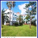 숲속에 바다 이미지