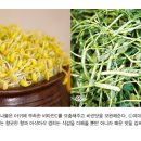 역전아구찜 이미지