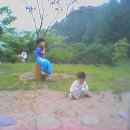 돌배나무 세그루 이미지