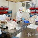 부석생강한과