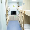 Re:특별 섬 신비의섬-울릉도 크루즈 !!! 안내 이미지