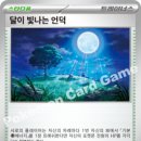 서프리그 이미지