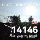 금상첨화 이미지