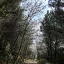 제주도 백패킹 올레길 완주(430km백팩 트레킹17일간의 비박) 이미지