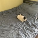 만수세탁소 이미지