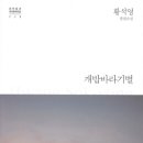 청춘 티스토리