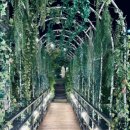 인플럭스 이미지