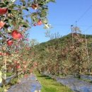 석촌농장 이미지