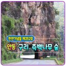 작은나무숲 이미지