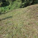 왕산2리 이미지