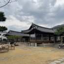 그리네 사바나 이미지