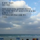 못찾겠다꾀꼬리 이미지