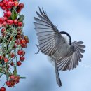 명암약수터 이미지