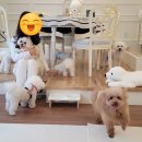 탑클래스 호텔·유치원 이미지