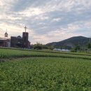 향남읍 하길1리경로당 | 치산계곡 무료차박 후기, 공영주차장에서 하룻밤(2025. 5. 2. 금)