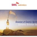 [SKC솔믹스 채용] SKC솔믹스 채용 - 2011 SKC솔믹스 신입사원 모집 (연봉/자소서)