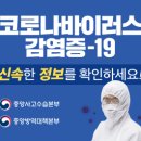 충주시 마스크 판매처 및 실시간 재고현황 이미지