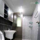 무지개대림 이미지