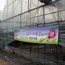 반곡농장 이미지