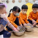 피피쿠스유치원 이미지