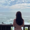 핑크토끼 Daum카페