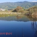 신장소류지 이미지