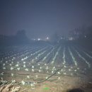 원동리 마을회관 이미지