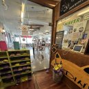 냥이시대 이미지