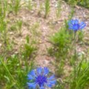 서울불광초등학교 이미지