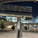 270-3566 | [나이키신발추천] 나이키샥스R4, TL 사이즈 실착후기