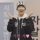 🩷0615 사랑하는 순영님의 생일날이 되어, 호시 생카 투어 일기 🐯🩵