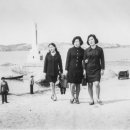 영랑초등학교/속초유치원 이미지