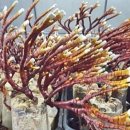 진기농장 이미지