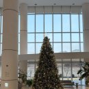 굿펫 | 양가 가족 국내 여행 김해 롯데리조트 펫 스위트 트윈더블 이용후기 2탄 (부대시설, 째깍섬, 카페, 펫...