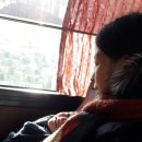 혜영목장 이미지