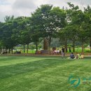 용덕면사무소 이미지