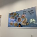 와플대학 춘천후평캠퍼스 이미지